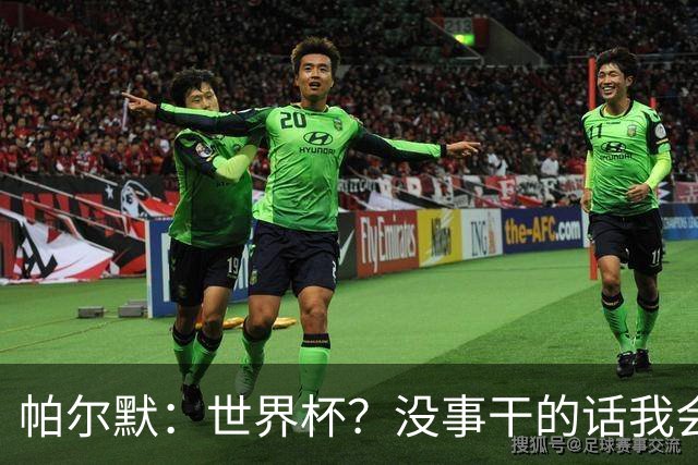 帕尔默：世界杯？没事干的话我会看看，我希望他们能走到最后